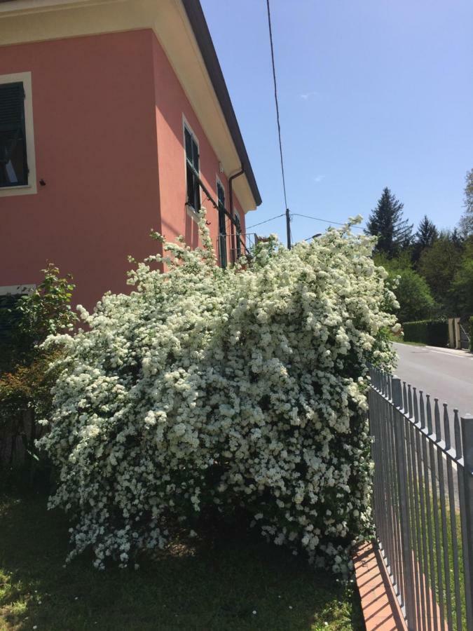 Il Ghiretto Appartamento Ricco del Golfo di Spezia Bagian luar foto